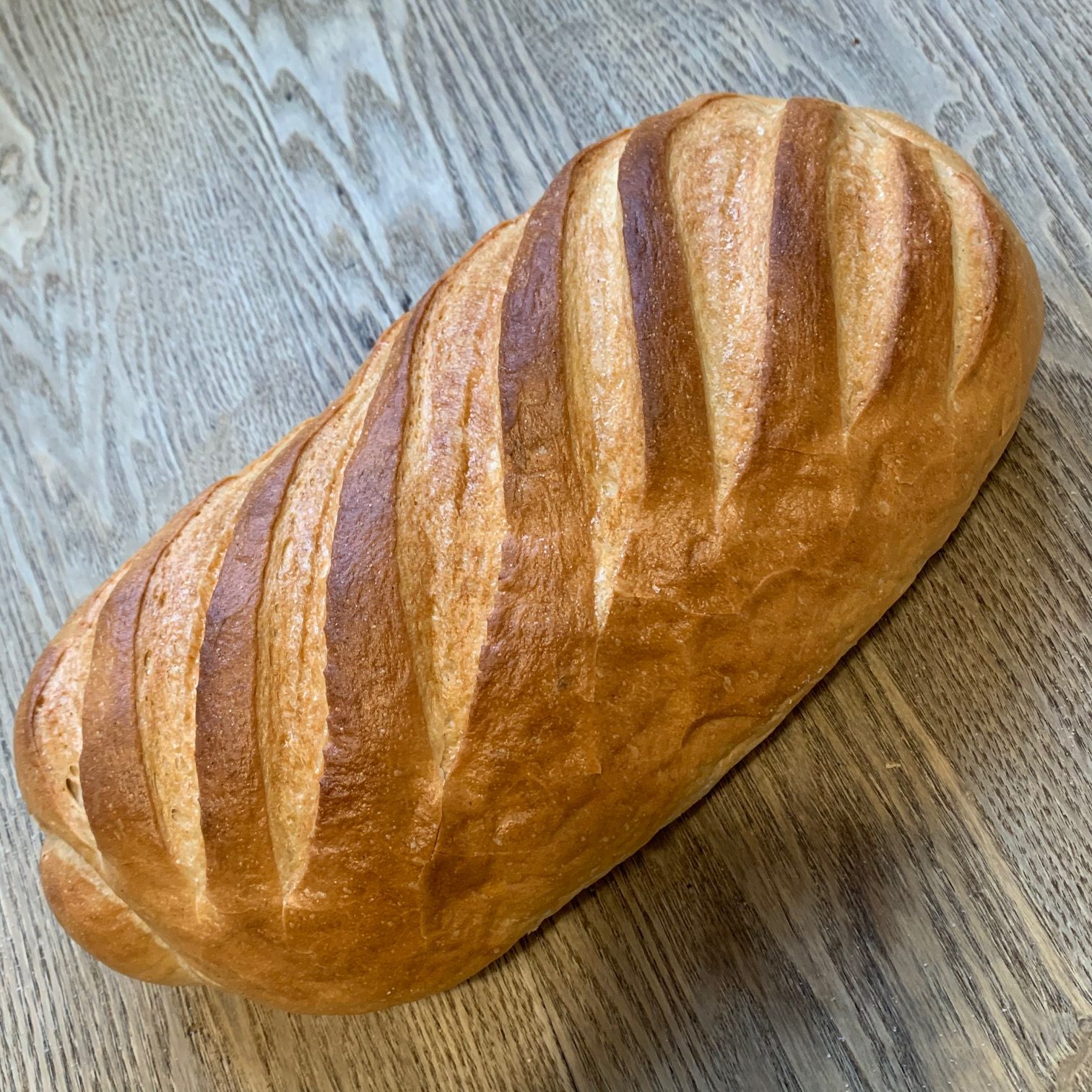 White Bloomer (Large)