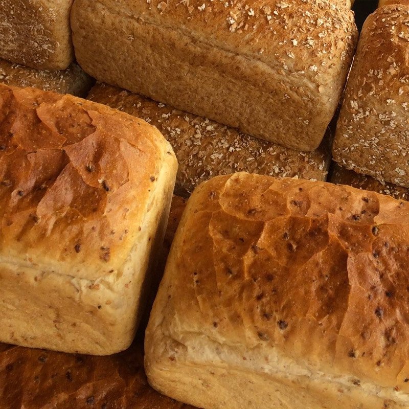 Malted (Large)