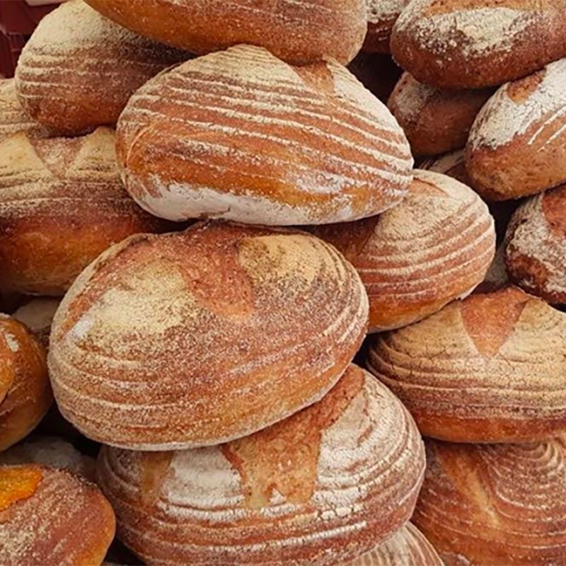 Sourdough Plain (Large)